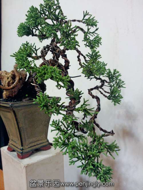 P31006-223357_.jpg