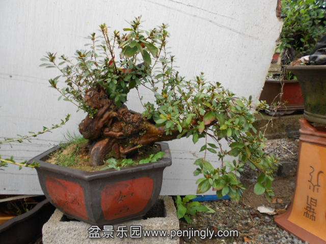 DSCN0509.jpg