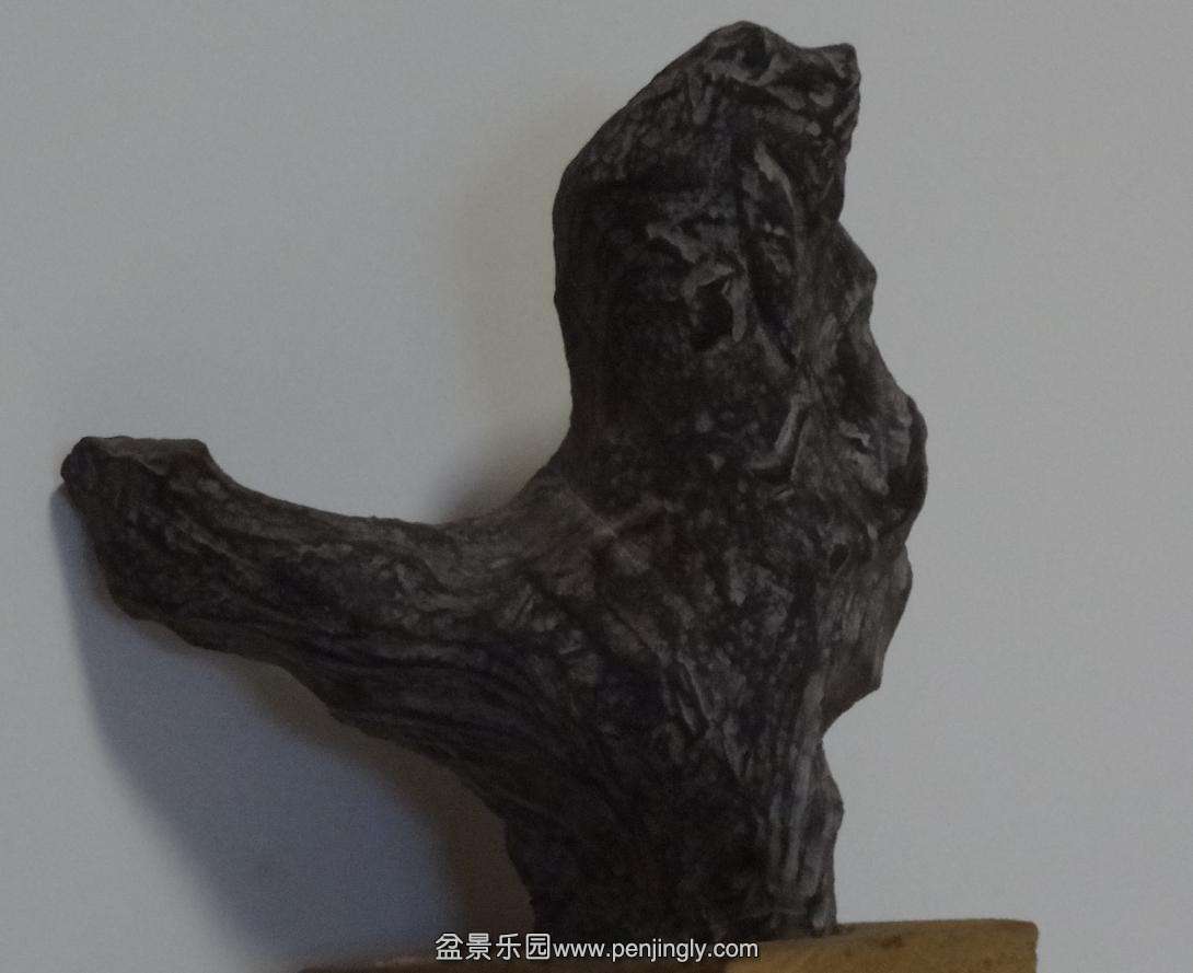 DSC03928.JPG