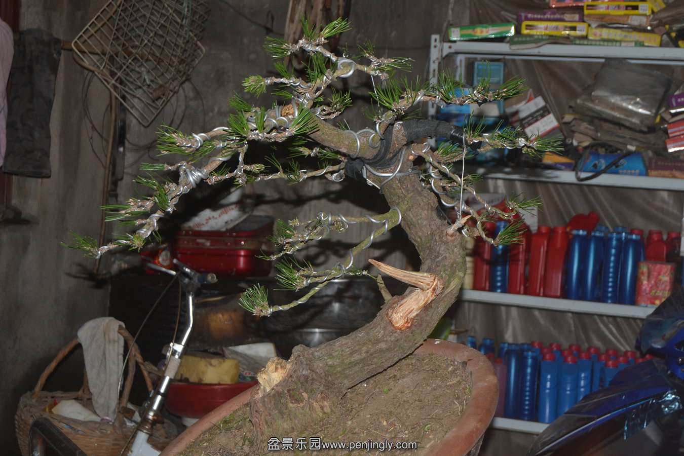 13-10-07 006.jpg