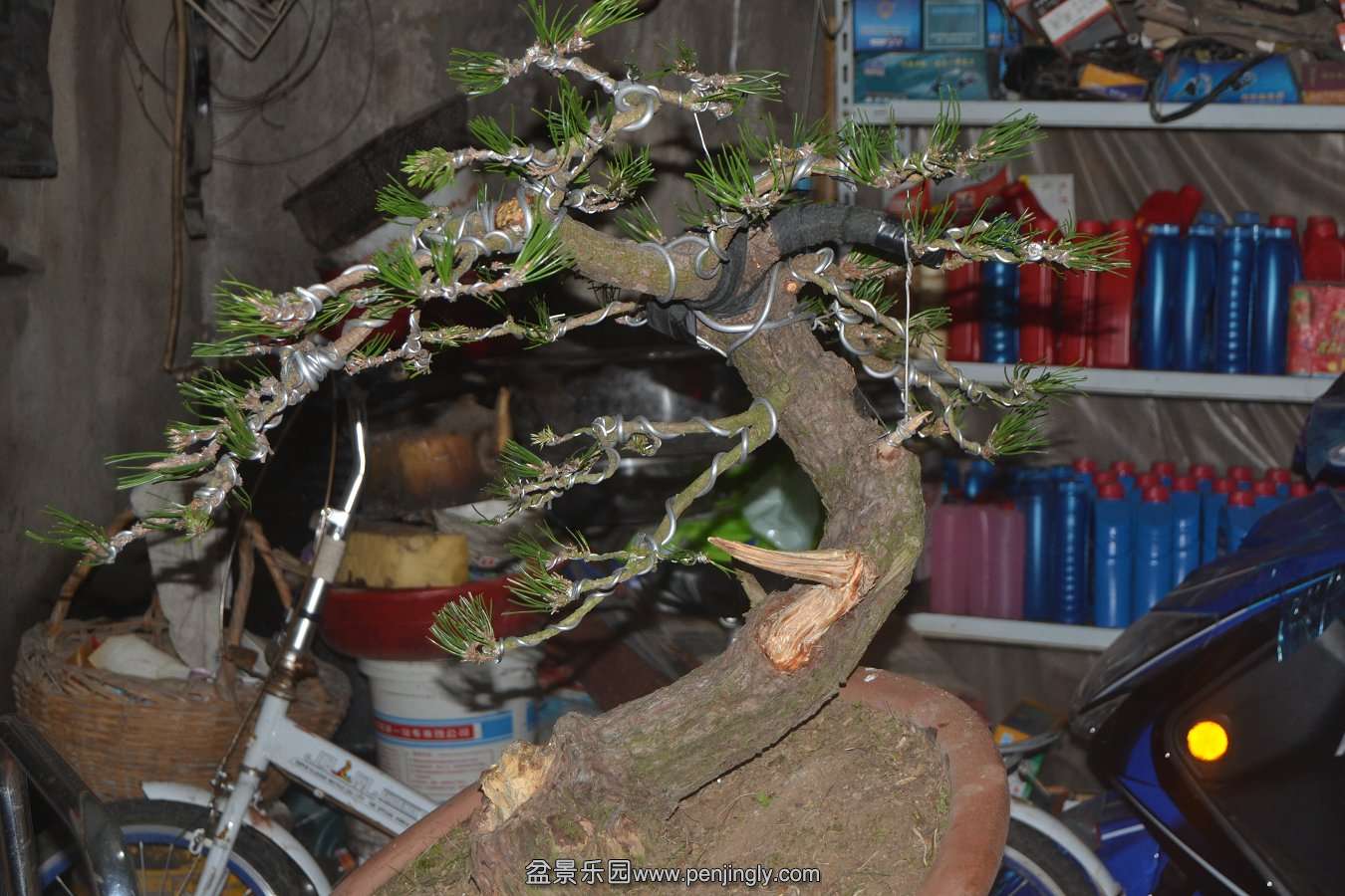 13-10-07 007.jpg