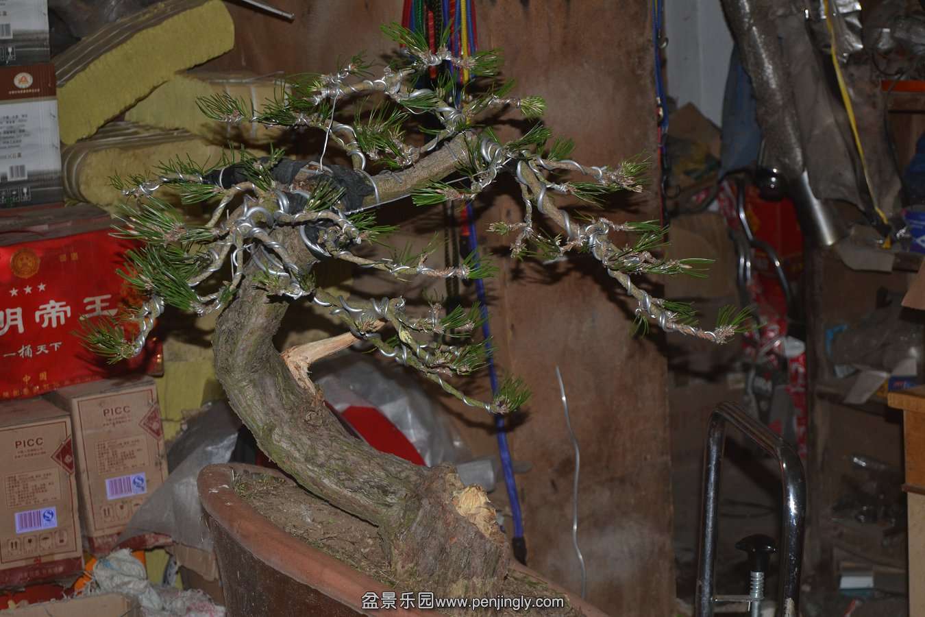 13-10-07 010.jpg