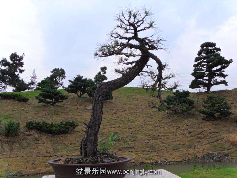 SDC12770.JPG
