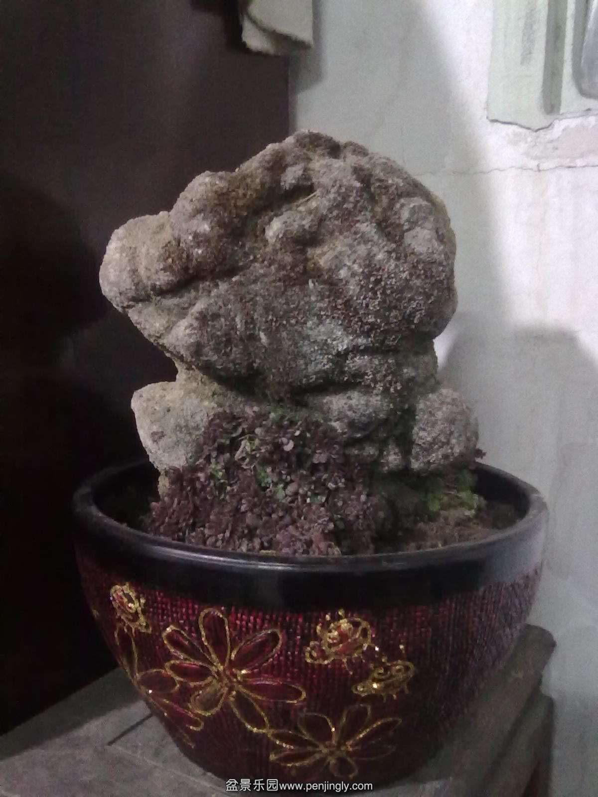 20120105875.jpg