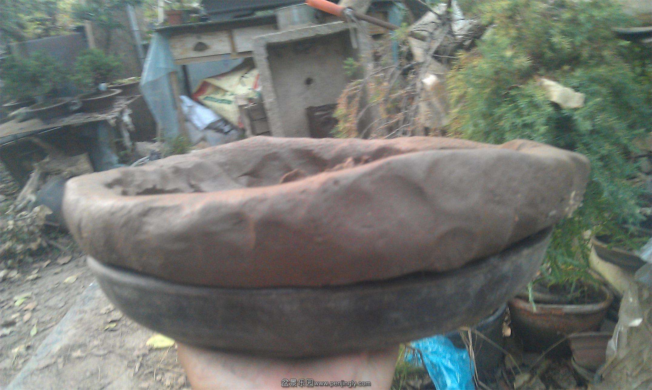 IMAG0266.jpg
