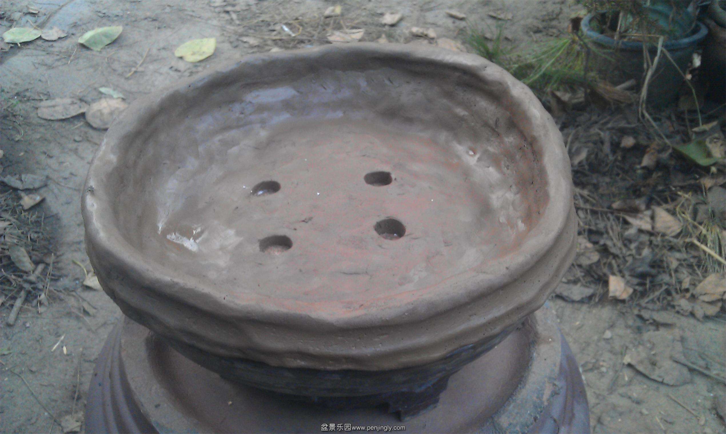 IMAG0267.jpg