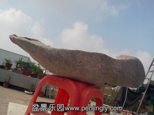 2013-10-09 09.54.48.jpg