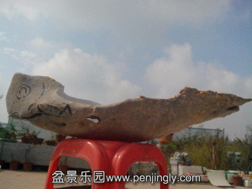 2013-10-09 09.55.50.jpg