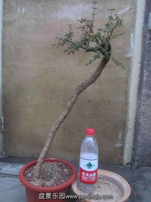 psb[3].jpg
