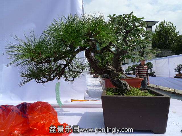 P1040264.JPG