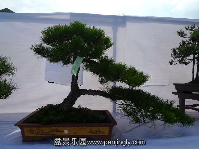P1040276.JPG