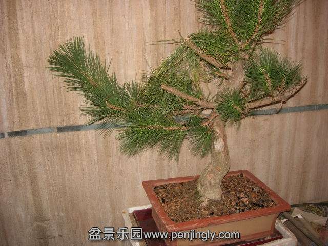 DSCN59960001.JPG