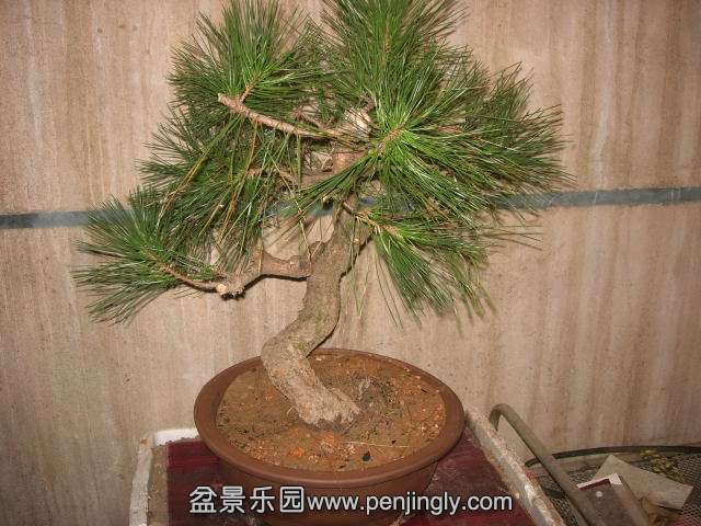 DSCN60010001.JPG