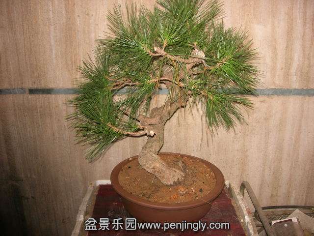 DSCN59980001.JPG