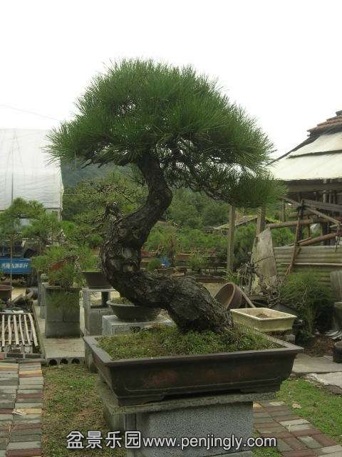 DSCN59610001.JPG