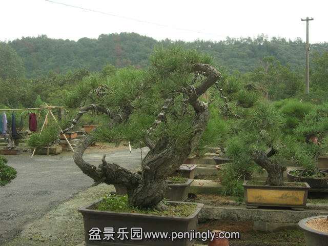 DSCN59130001.JPG