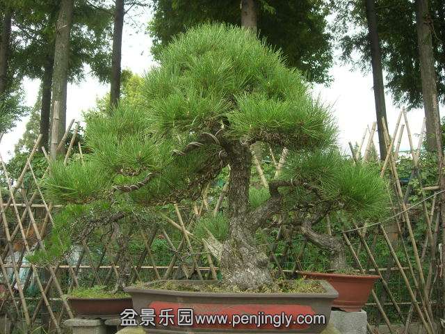 DSCN58990001.JPG