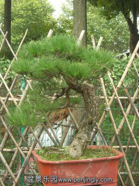 DSCN59010001.JPG