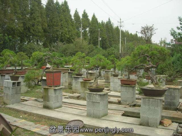 DSCN59180001.JPG