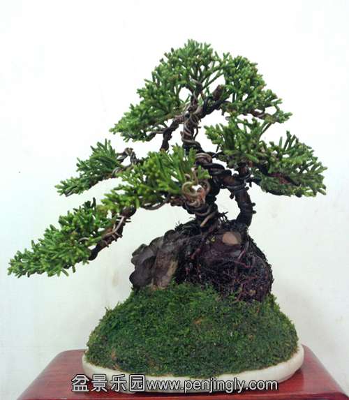P31009-115624_.jpg