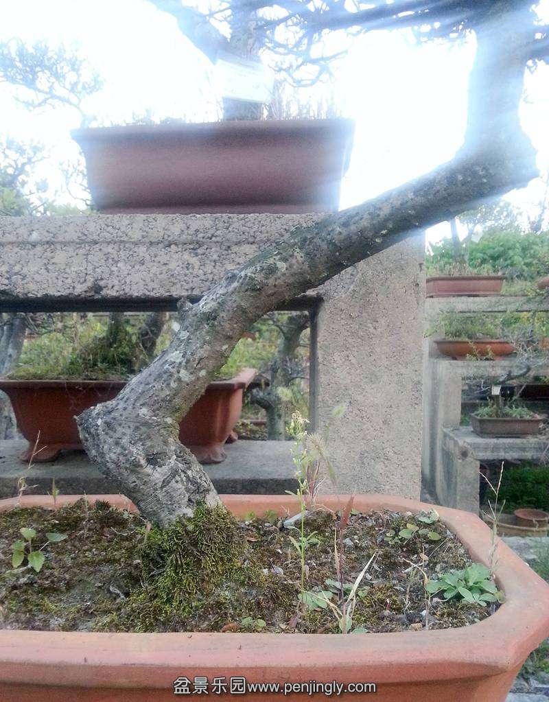 20131006_182104__.jpg