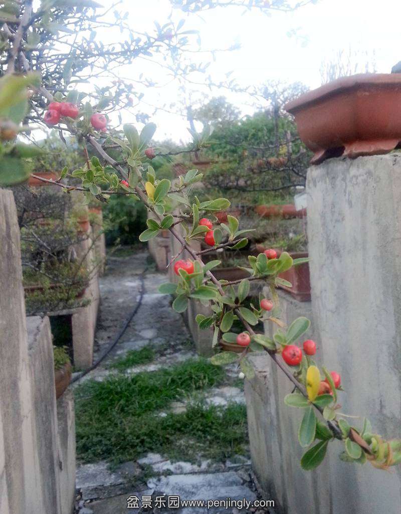 20131006_182058__.jpg