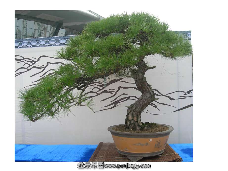 DSCN109.jpg