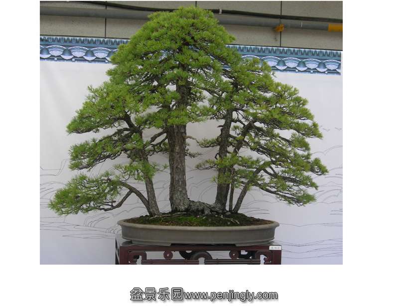 DSCN123.jpg
