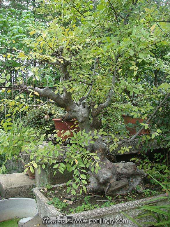 DSC05434.JPG