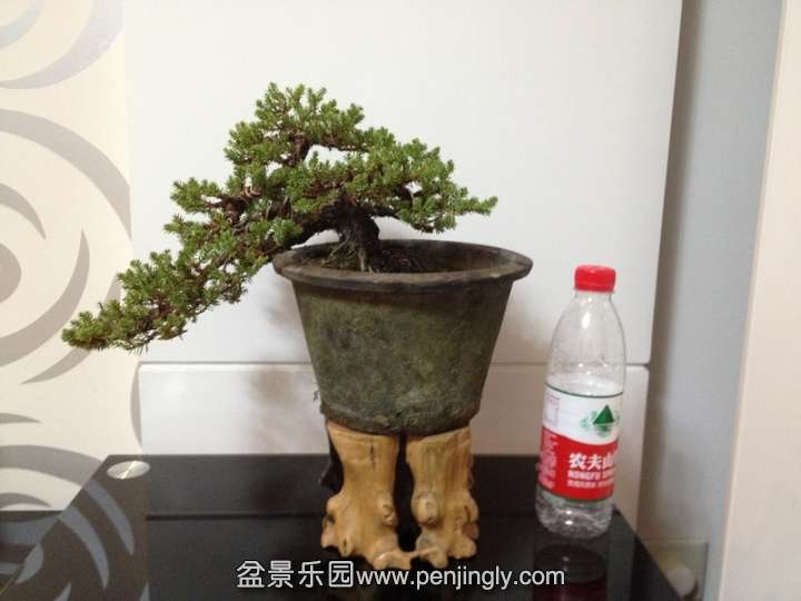 nEO_IMG_IMG_4153.jpg