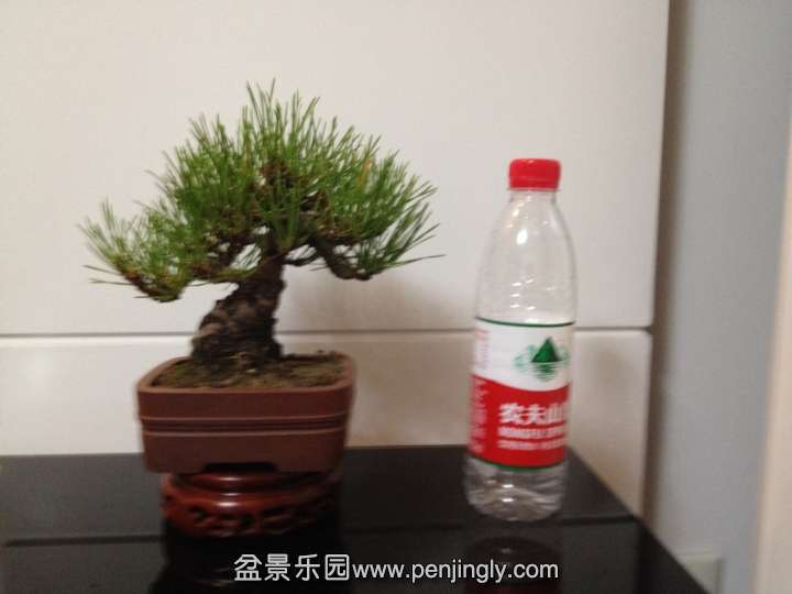 nEO_IMG_IMG_4156.jpg