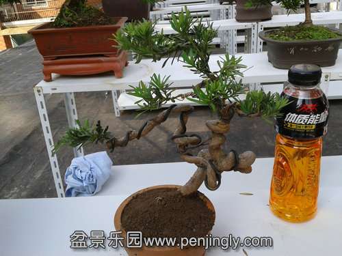 2013-10-10 14.00.30.jpg