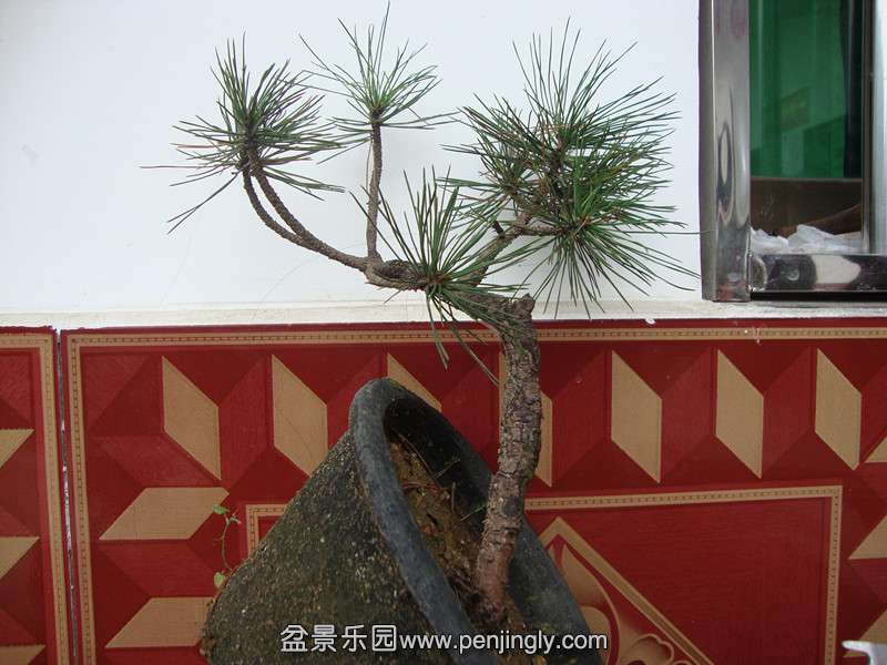 DSC01454_.jpg