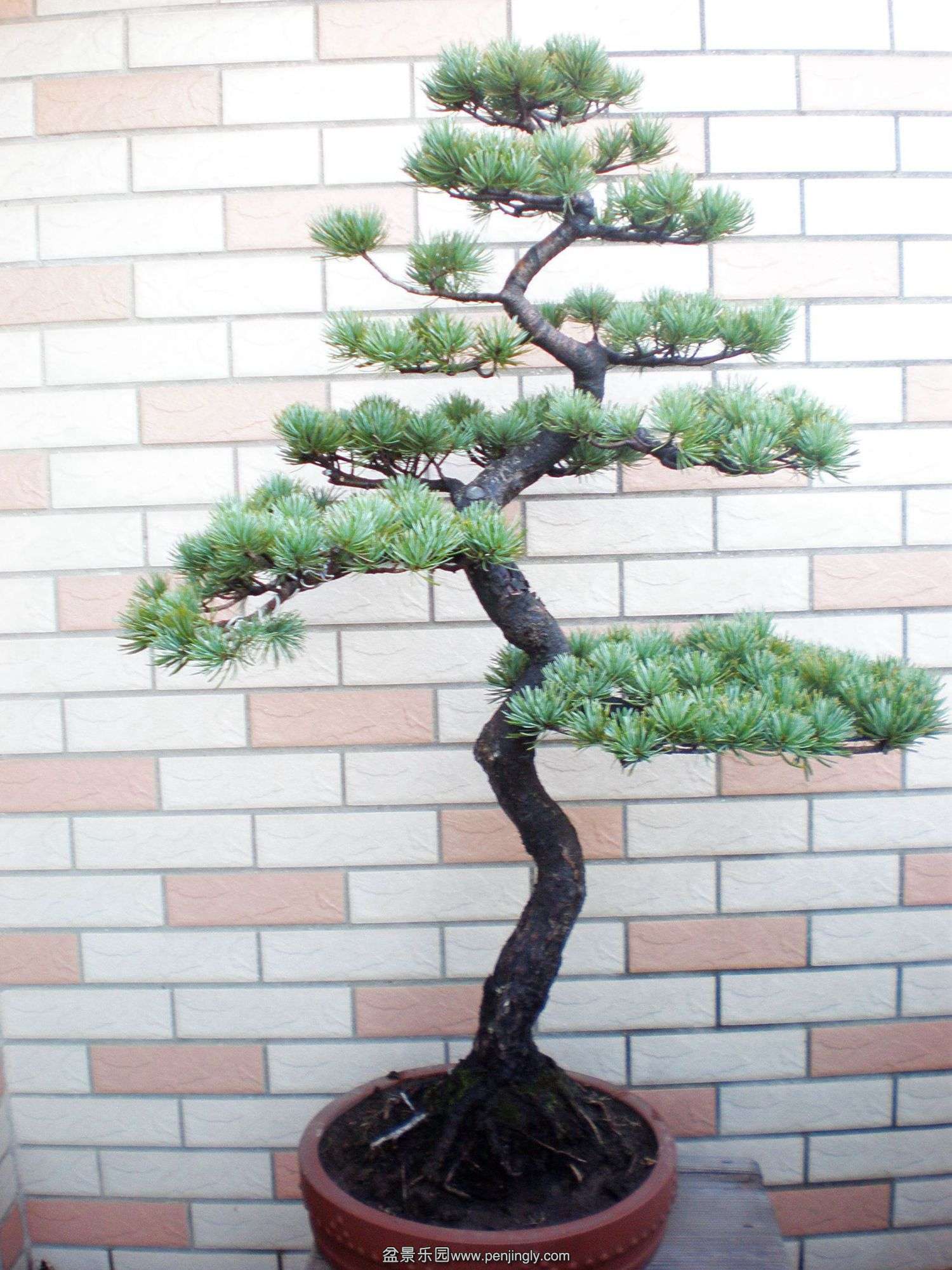 P1010193___.jpg
