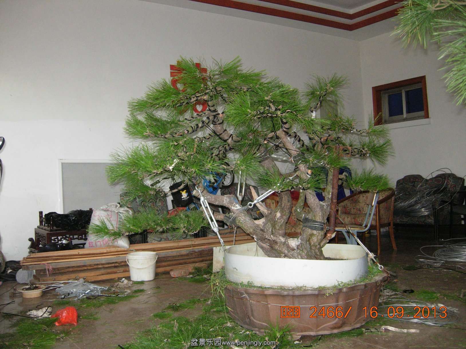 DSCN6976.JPG