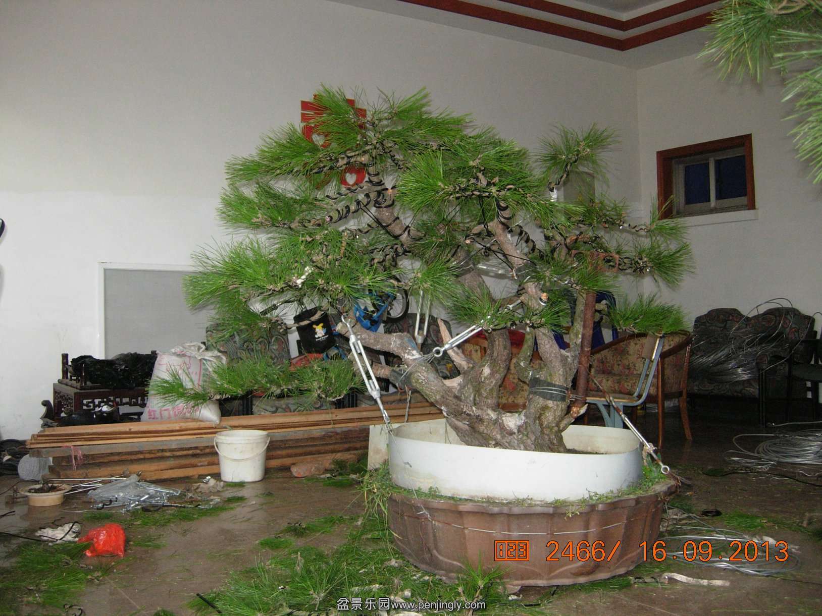 DSCN6977.JPG