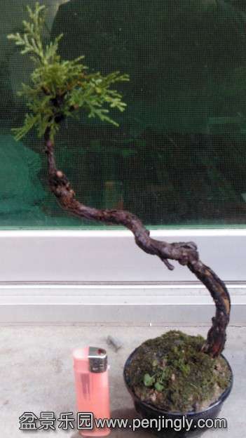 QQͼƬ20030101014335.jpg