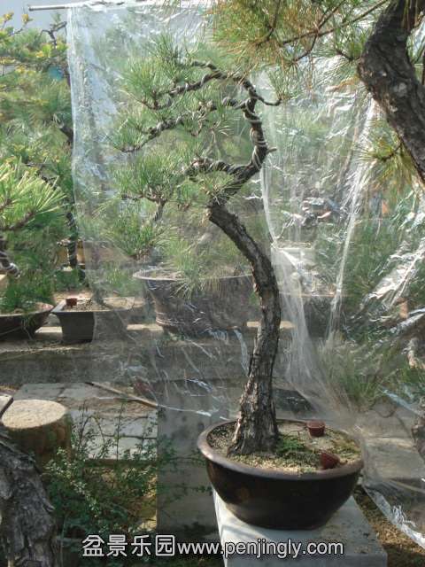 DSC00625.JPG