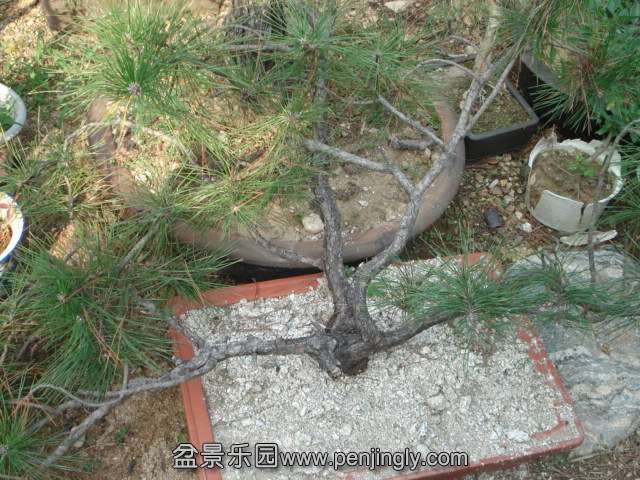DSC00629.JPG