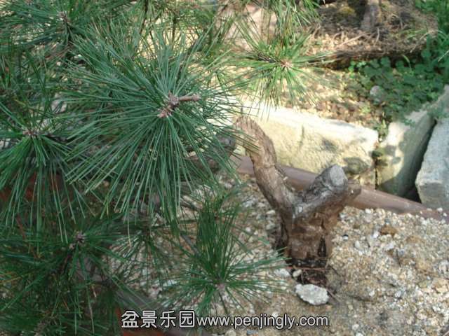 DSC00630.JPG