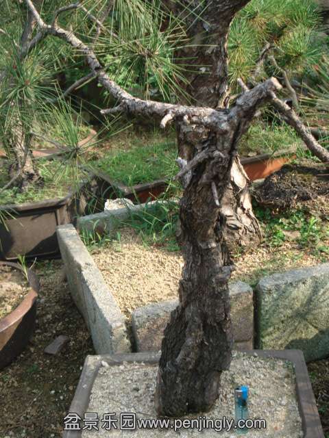 DSC00633.JPG