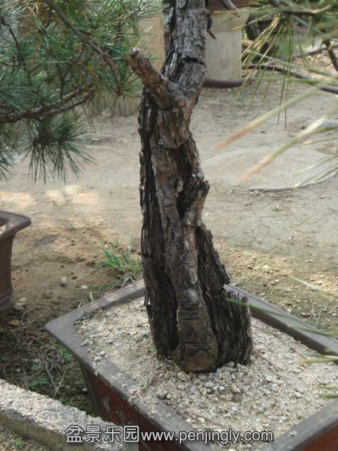 DSC00635.JPG