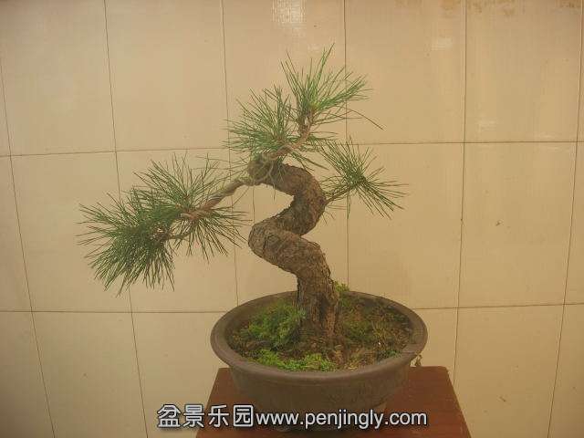 DSCN6006.JPG