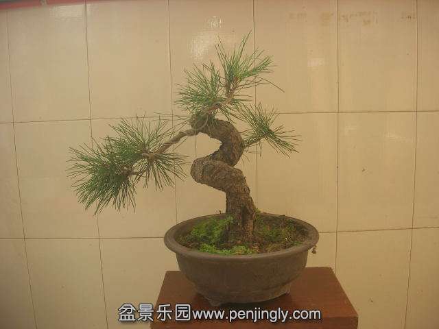 DSCN6008.JPG