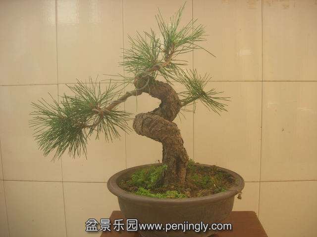 DSCN6009.JPG