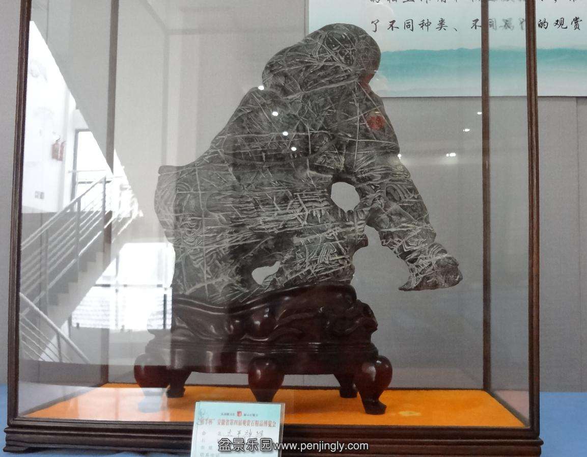 DSC04001.JPG