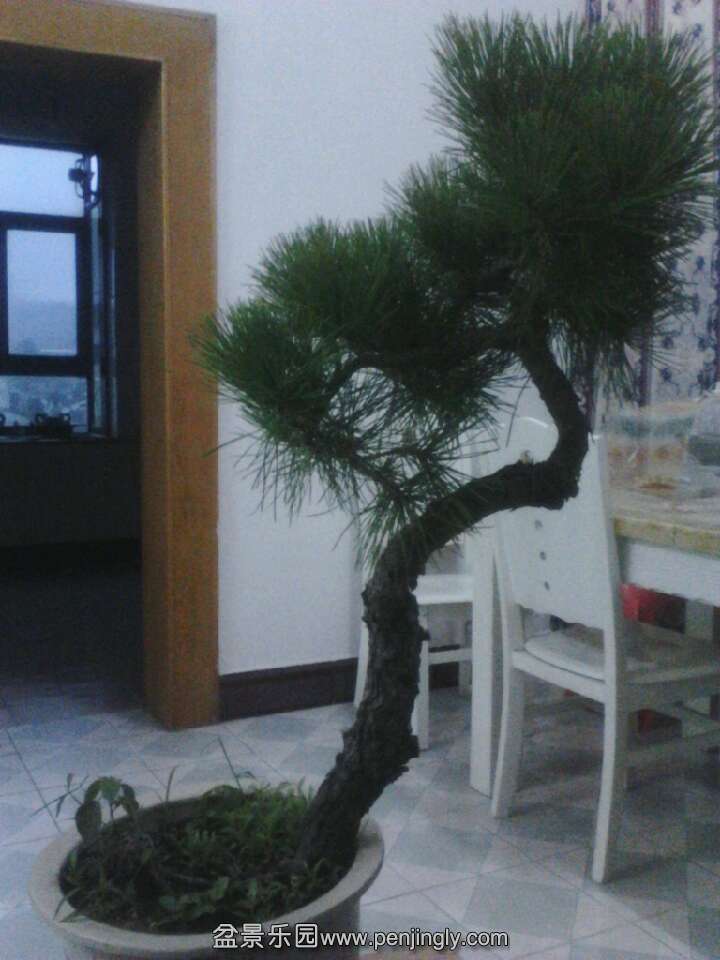 QQͼƬ20131012201856.jpg