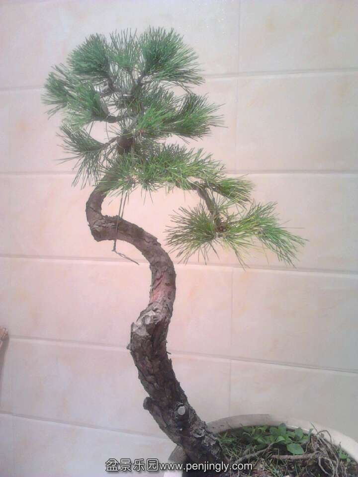 QQͼƬ20131012201851.jpg