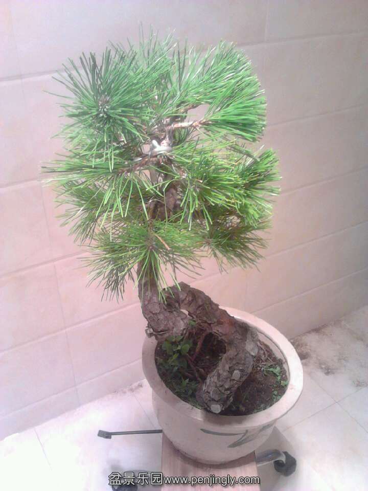 QQͼƬ20131012201845.jpg