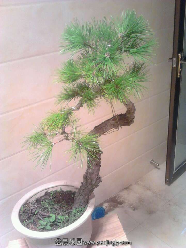 QQͼƬ20131012201816.jpg
